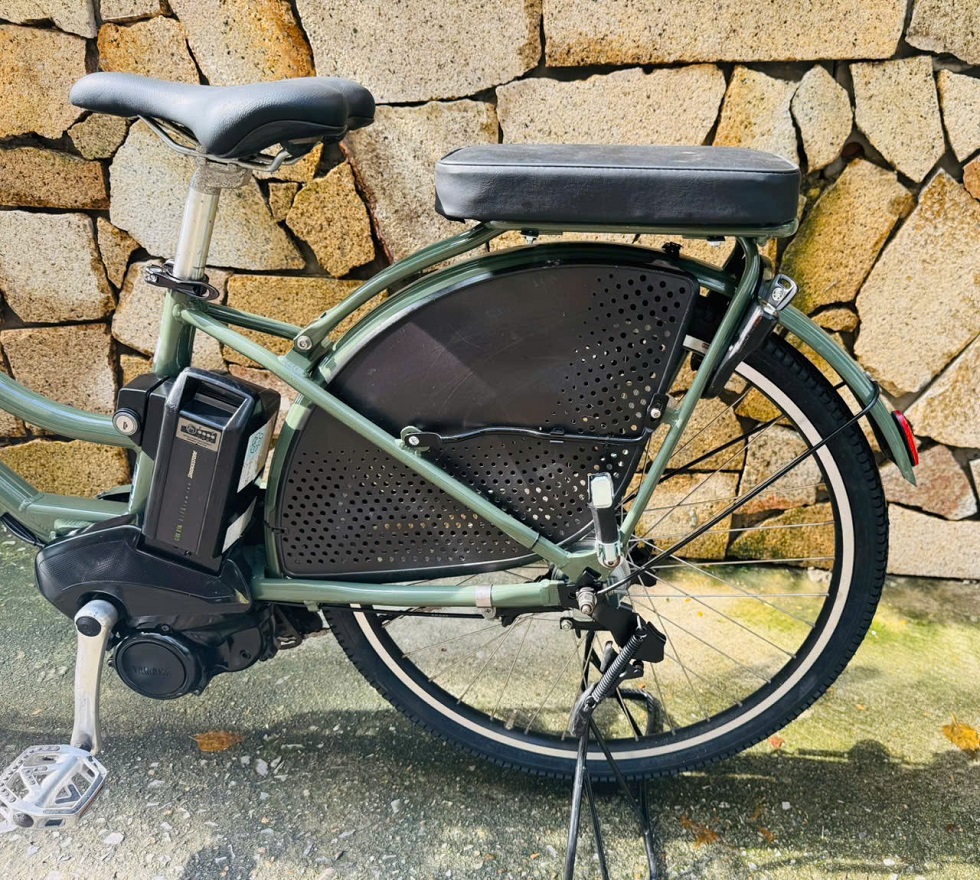 banh-sau-xe-dap-dien-nhat-tro-luc-hydeeb-mau-xanh