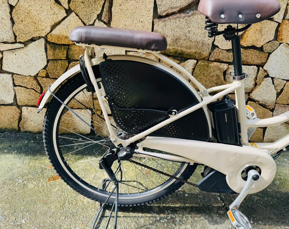 banh-sau-xe-dap-dien-nhat-tro-luc-hydeebe-trang