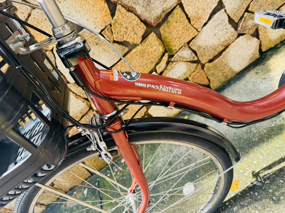khung-xe-dap-dien-nhat-yamaha-pas-natura-mau-dong