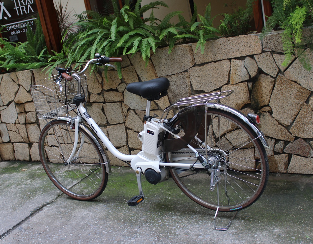 xe-dap-dien-nhat-panasonic-mau-trang-tinh-khoi-4