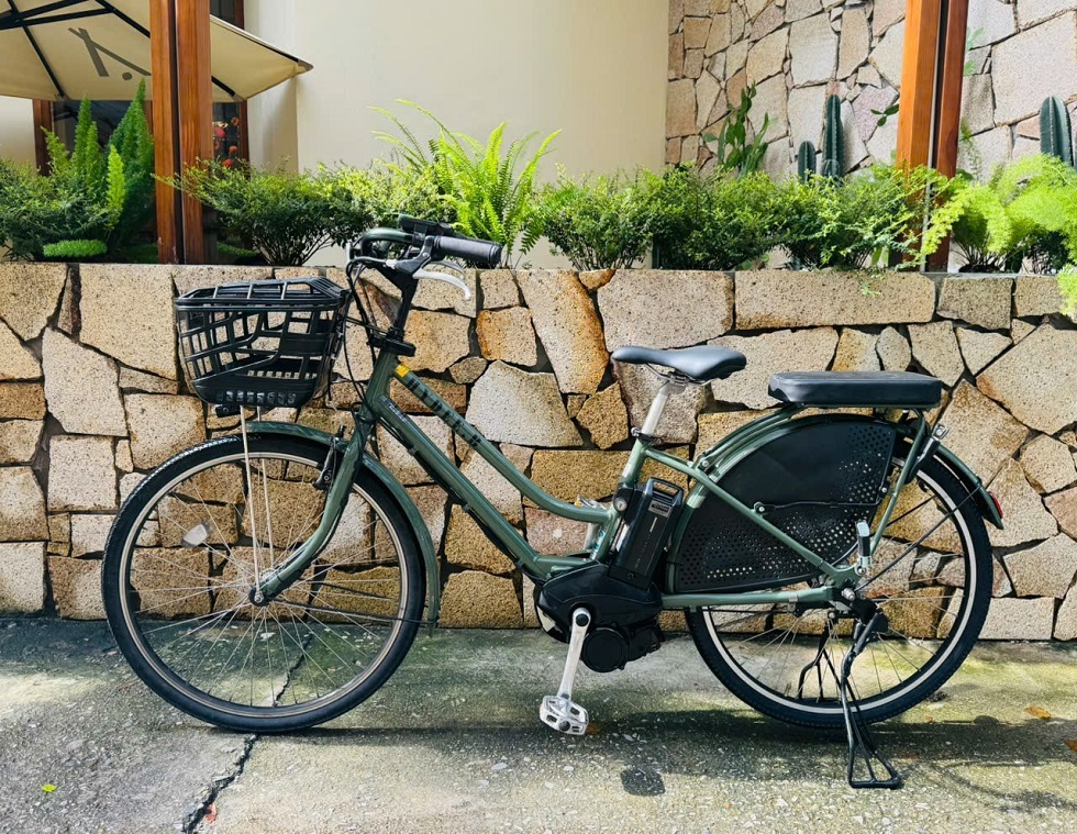 xe-dap-dien-nhat-tro-luc-hydeeb-mau-xanh-1