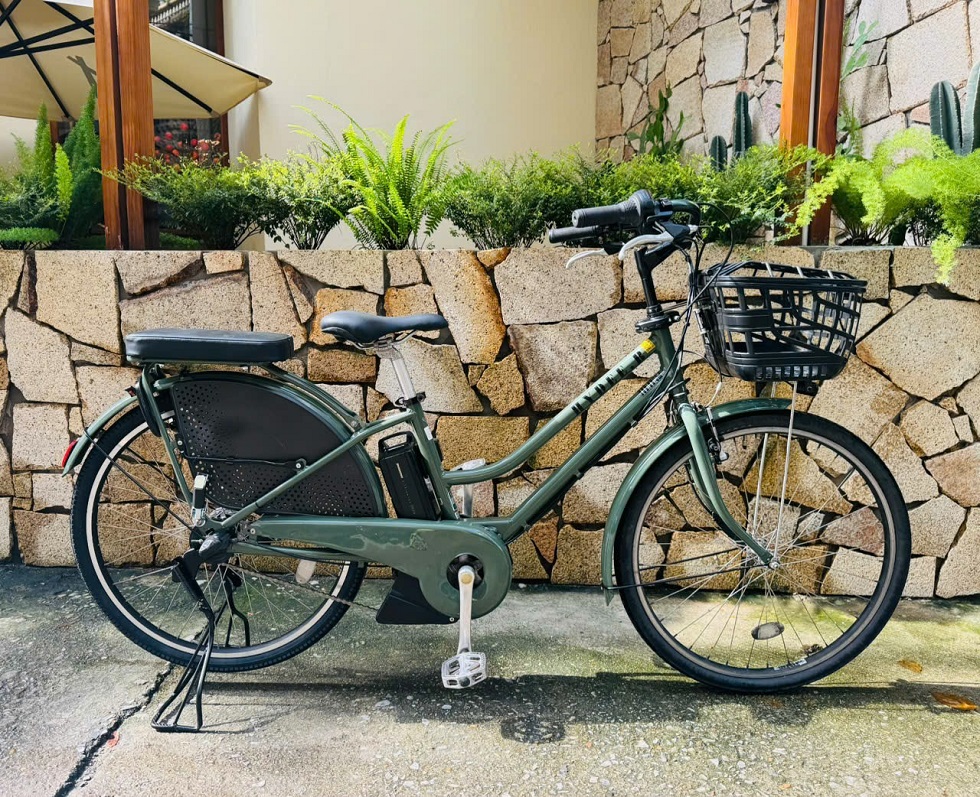 xe-dap-dien-nhat-tro-luc-hydeeb-mau-xanh-2