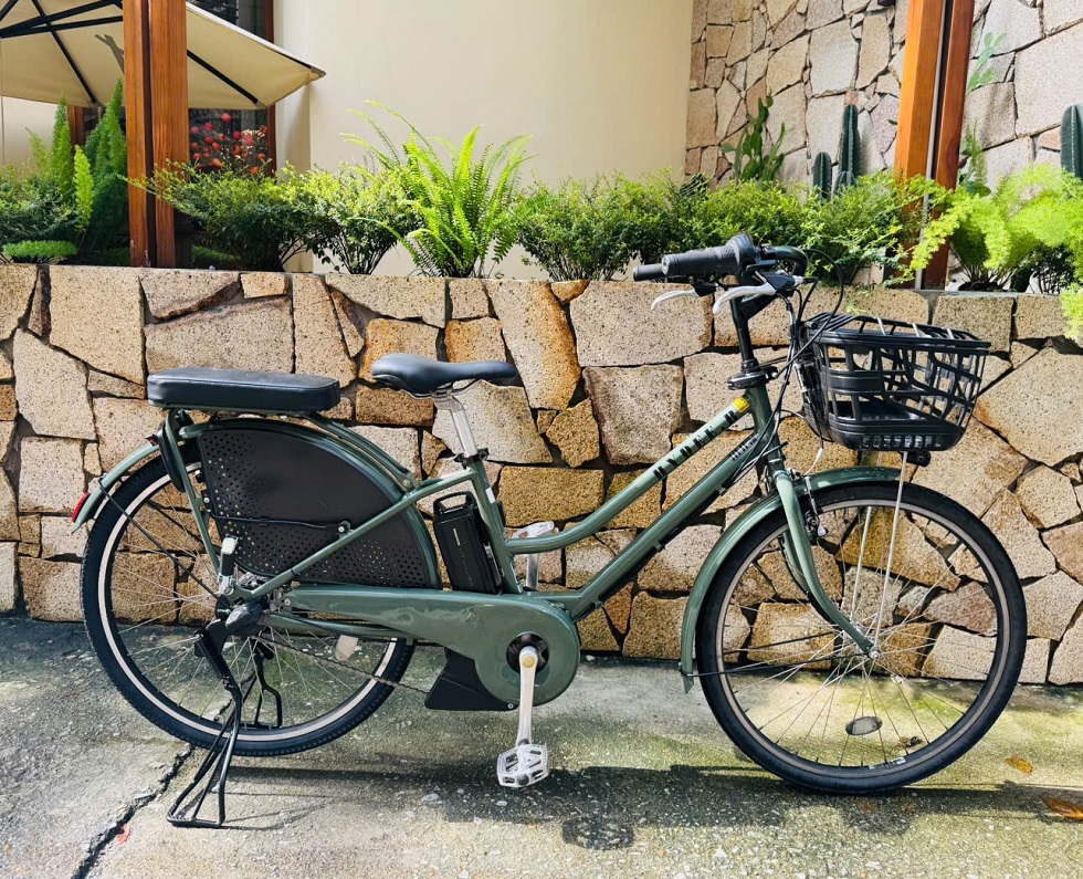 xe-dap-dien-nhat-tro-luc-hydeeb-mau-xanh-3