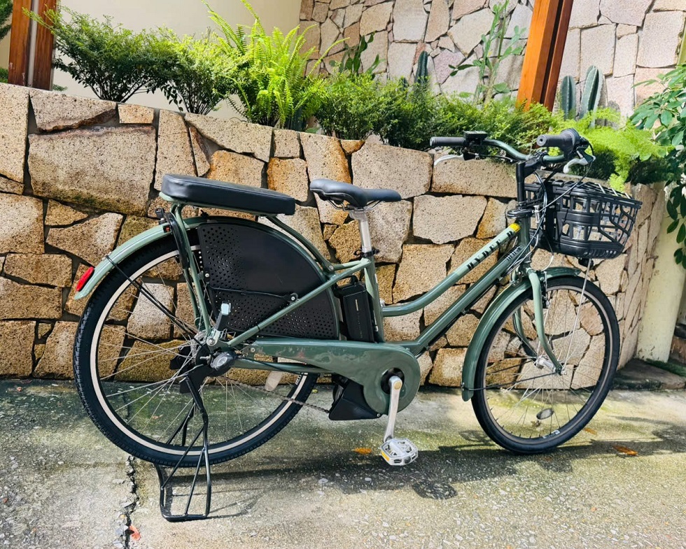 xe-dap-dien-nhat-tro-luc-hydeeb-mau-xanh-4