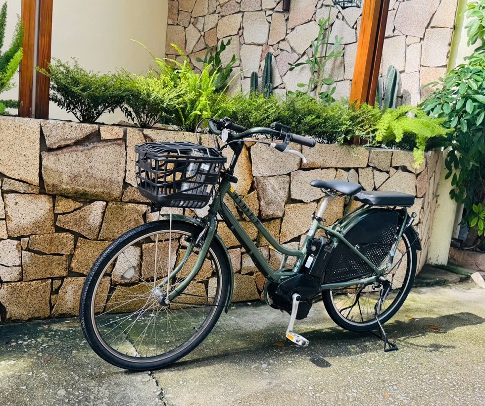 xe-dap-dien-nhat-tro-luc-hydeeb-mau-xanh-5