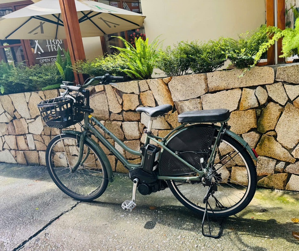 xe-dap-dien-nhat-tro-luc-hydeeb-mau-xanh-6