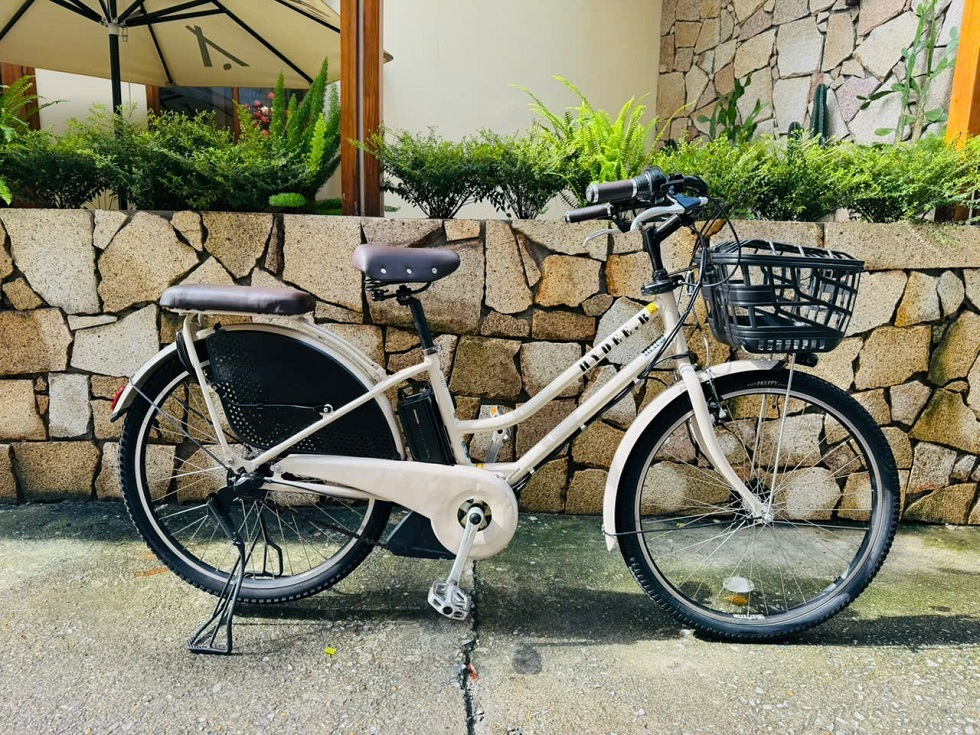 xe-dap-dien-nhat-tro-luc-hydeebe-trang-1