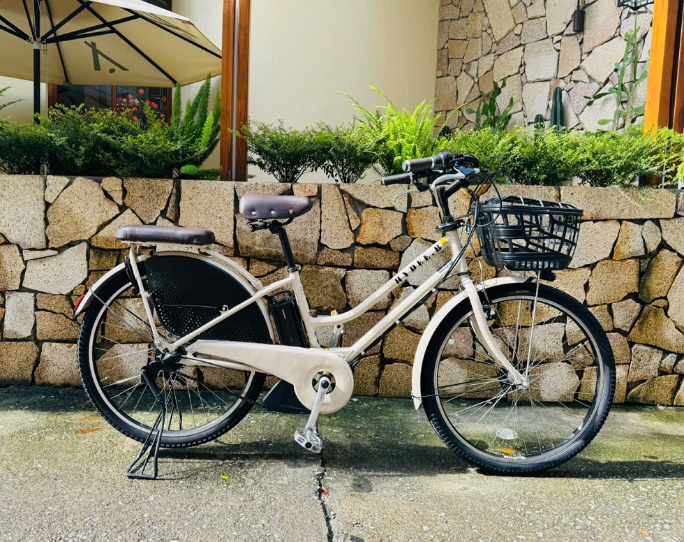 xe-dap-dien-nhat-tro-luc-hydeebe-trang-2