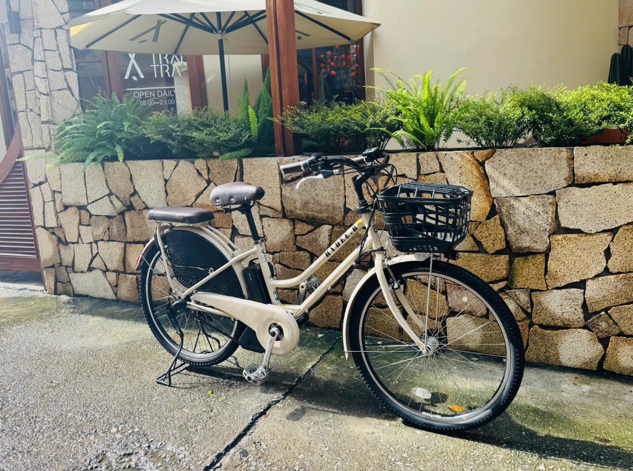 xe-dap-dien-nhat-tro-luc-hydeebe-trang-3