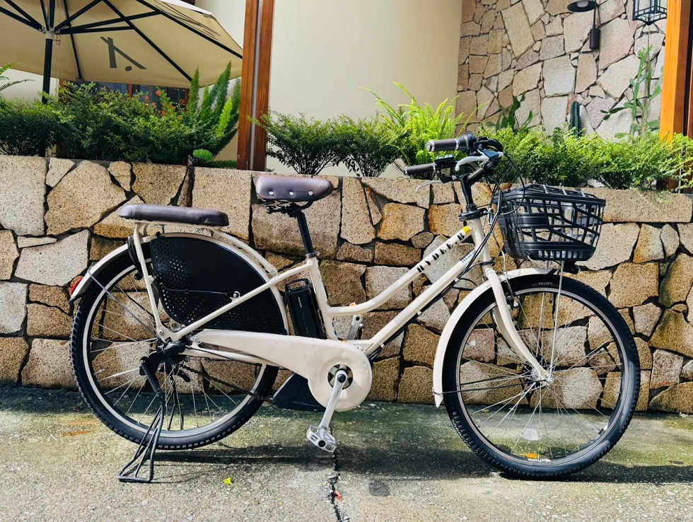 xe-dap-dien-nhat-tro-luc-hydeebe-trang-5