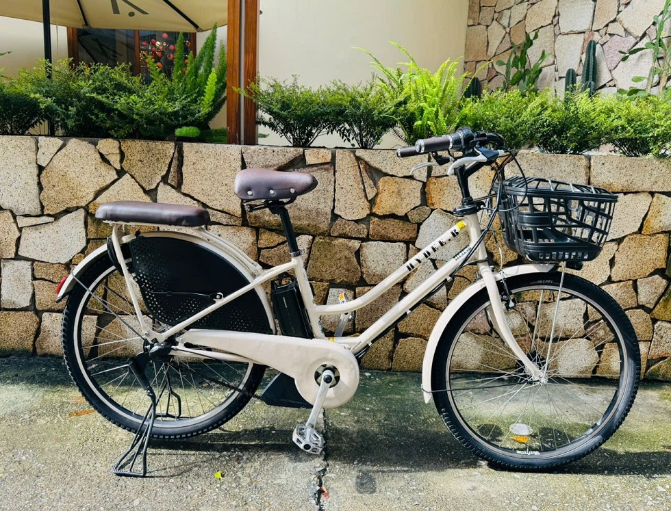 xe-dap-dien-nhat-tro-luc-hydeebe-trang-6