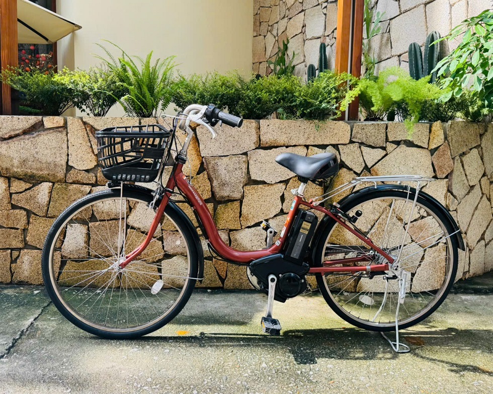 xe-dap-dien-nhat-yamaha-pas-natura-mau-dong-1