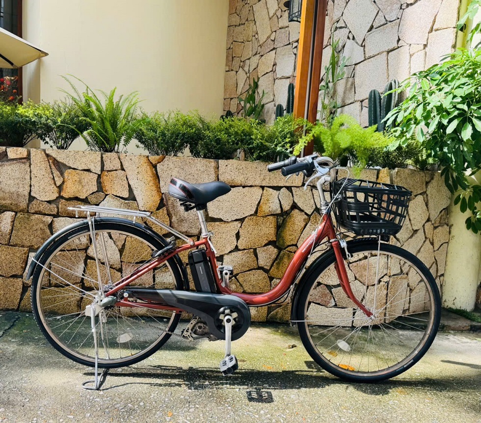 xe-dap-dien-nhat-yamaha-pas-natura-mau-dong-2