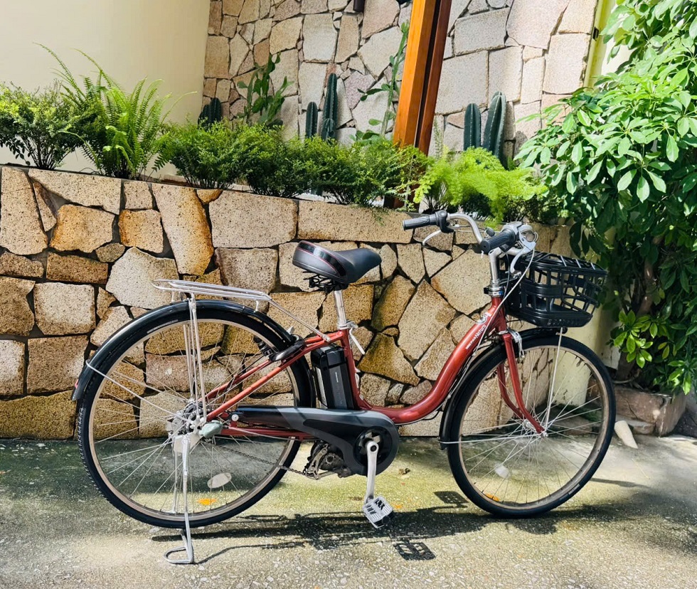 xe-dap-dien-nhat-yamaha-pas-natura-mau-dong-5