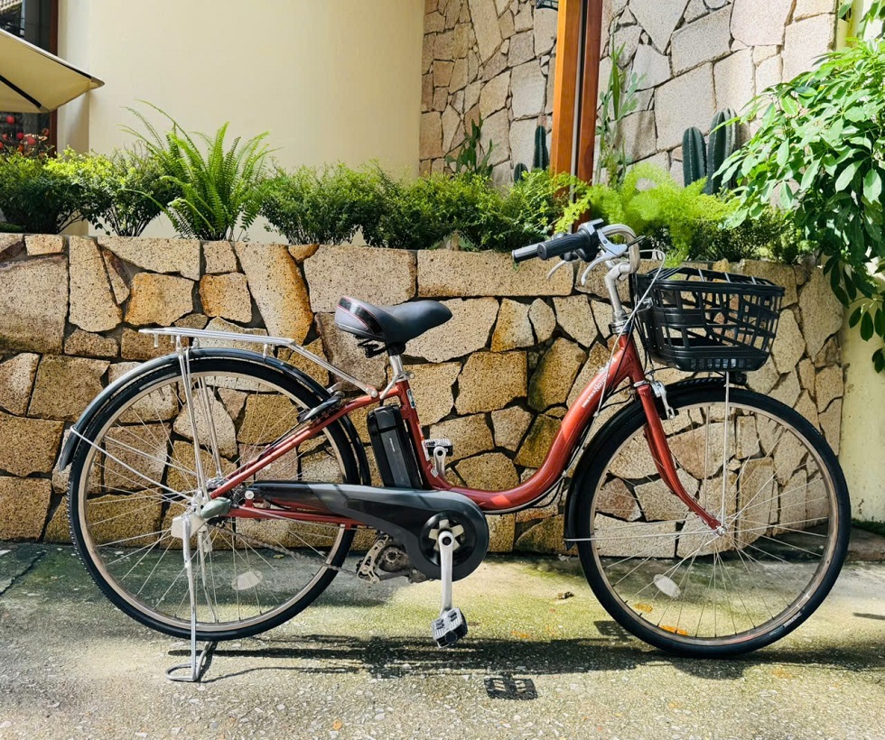 xe-dap-dien-nhat-yamaha-pas-natura-mau-dong-6