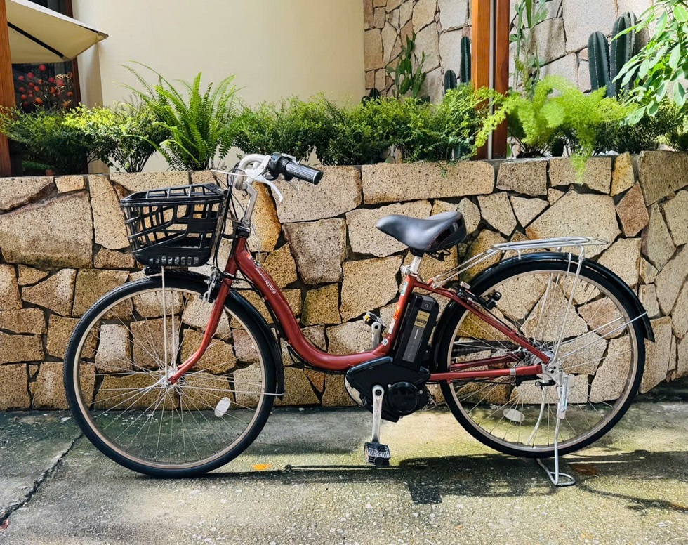 xe-dap-dien-nhat-yamaha-pas-natura-mau-dong