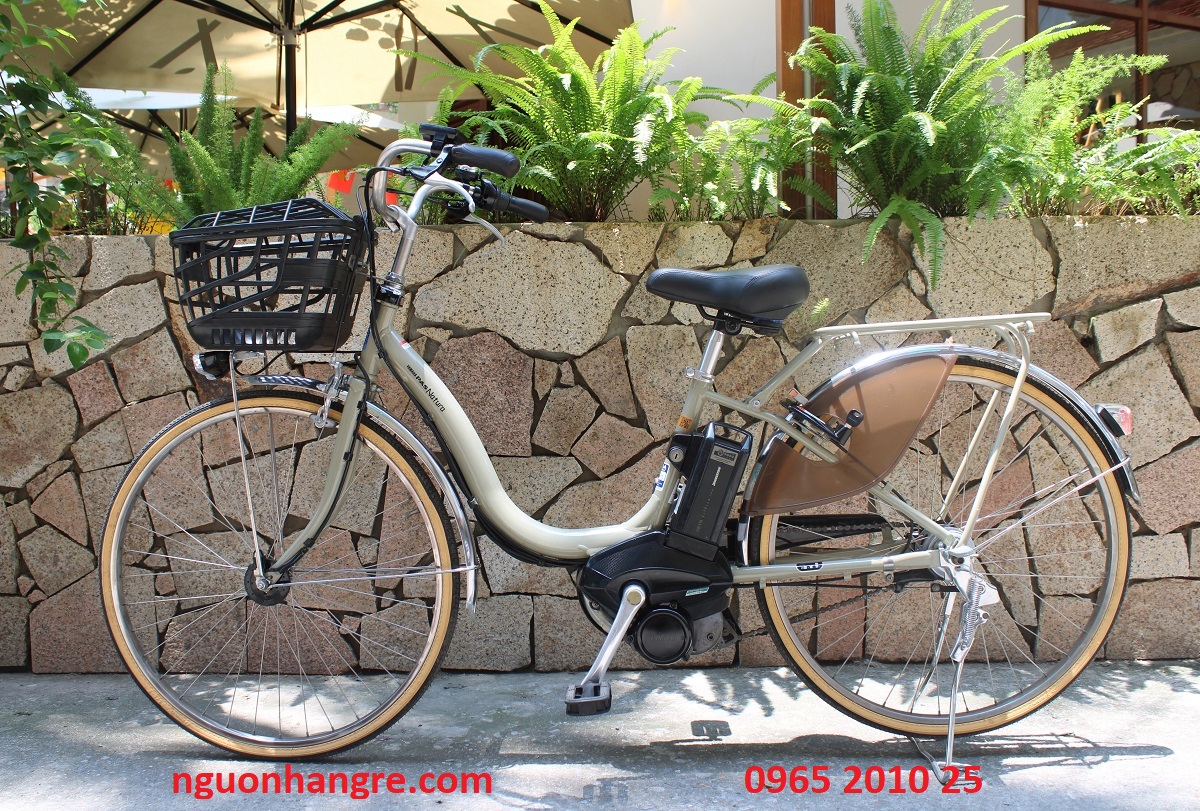 xe-dap-dien-nhat-yamaha-pas-natura-mau-kem-1