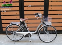 Xe đạp điện Nhật Assista màu bạc