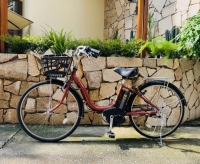 Xe đạp điện Yamaha Natura màu đồng gạch cua