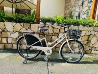 Xe đạp điện Nhật trợ lực Hydeeb trắng