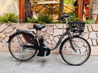 Xe đạp điện Nhật trợ lực Yamaha Pas With màu xám