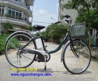 Xe đạp điện Nhật (Hàng bãi)