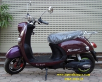 Xe máy điện rùa 7 quãng đường đi được 80Km/sạc