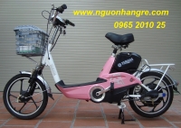 Xe đạp điện Yamaha