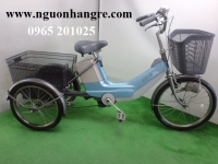 Xe đạp điện chở hàng (ba bánh)