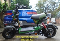 Xe bò điên bánh to