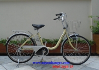 Xe đạp trợ lực Nhật Panasonic pin lion