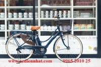 Xe đạp điện Nhật Yamaha Pas Ami