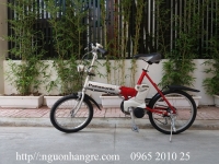 Xe đạp điện Nhật trợ lực Panasonic gấp gọn 2