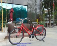 Xe đạp trợ lực Brigestone  Hydee B