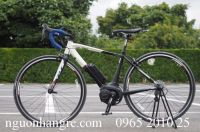 Xe đạp điện Nhật trợ lực Yamaha YPJ-R