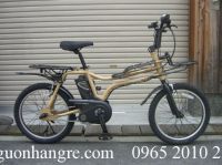 Xe đạp trợ lực Panasonic EZ