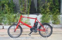 Xe đạp trợ lực Panasonic Little Bee