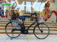 Xe đạp trợ lực Nhật Panasonic Colors