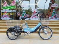Xe đạp điện Nhật 3 bánh vừa tay ga vừa trợ lực zin nguyên bản