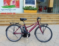 xe đạp điện Nhật trợ lực Panasonic Lastic