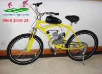 Chế xe đạp thường thành xe đạp chạy xăng